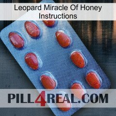 Leopard Miracle Of Honey Instructions 06